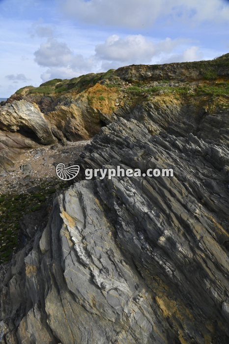 Roches métamorphiques - schistes (Pointe du Payré, Vendée) - gryphea.com